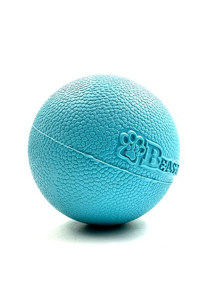 Tasma Market Sound Horse Fetch Dog Play Ball L