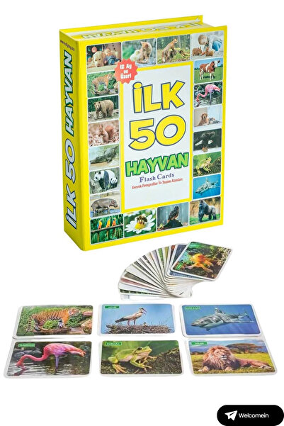 welcomein Toy My Little Baby's First 50 Animal Cards and First 50 Fruit and Vegetable Cards Flash Card Set