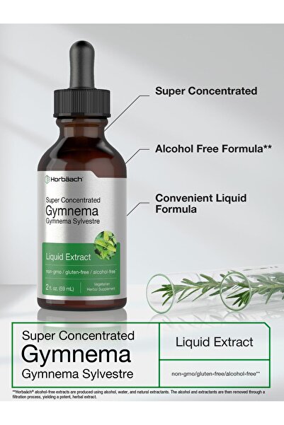 Horbaach Gymnema Sylvestre Liquid Extract | 2 fl oz | Alcohol-Free, Non-GMO, Gluten-Free Tincture