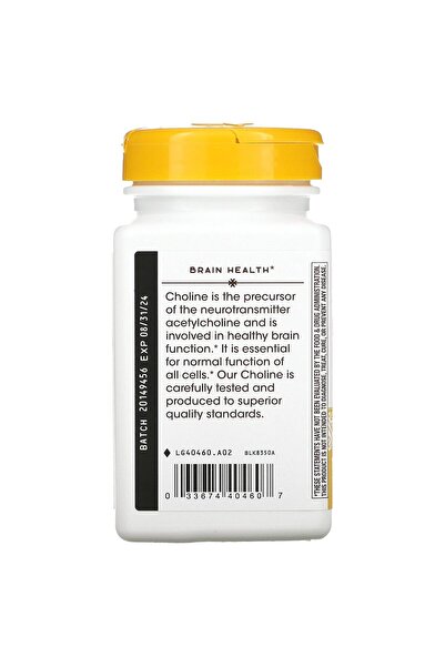 Nature's Way NATURES WAY 500Mg 100 Tb Choline, 100 CT