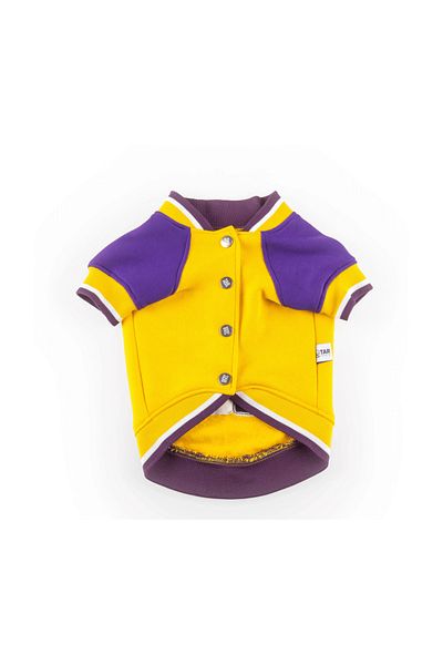 JesPawty Yellow College Jacket Dog Outfit