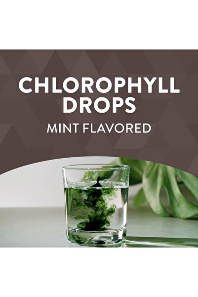 Nature's Way Chlorofresh Liquid Chlorophyll Drops, Mint Flavor, Internal Deodorant, Detox Support, 2 Fl. Oz.