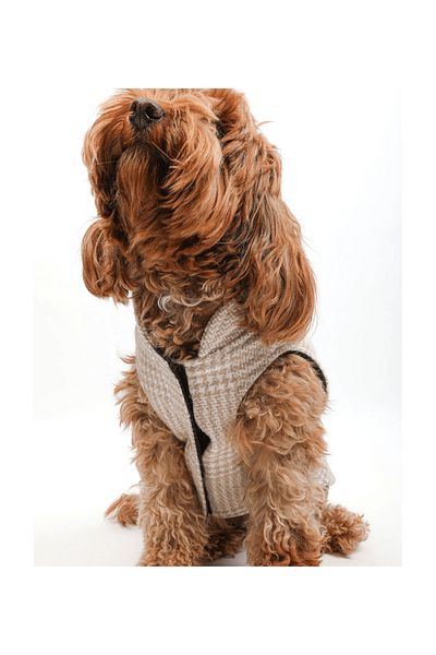 JesPawty Cream Dog Lumberjack Vest