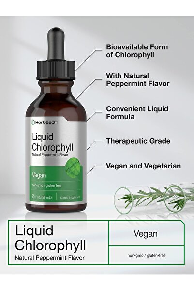 Horbaach Liquid Chlorophyll Drops | 2 oz | Vegan, Non-GMO, Gluten Free | Peppermint Flavor