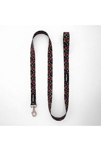 PATİMİO Paws Köpek Boyun Ve Gezdirme Tasma Seti