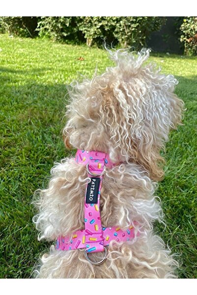 PATİMİO Pink Bones Köpek Göğüs Tasması