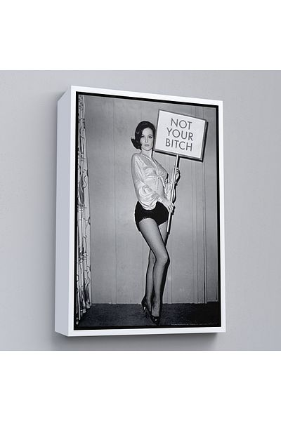 Harita Sepeti Femei cu cadru alb Drepturile femeilor Feminist Vintage Femei Pictură pe pânză
