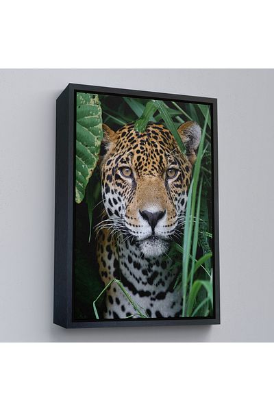 Harita Sepeti Διακοσμητικός πίνακας σε καμβά Leopard με χρυσό πλαίσιο