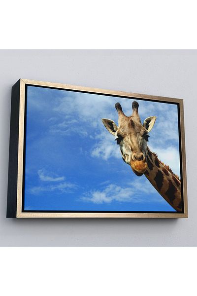 Harita Sepeti Διακοσμητικός πίνακας σε καμβά Giraffe με χρυσό πλαίσιο