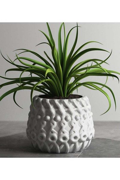 3D Brothers Refined Beauty Vase