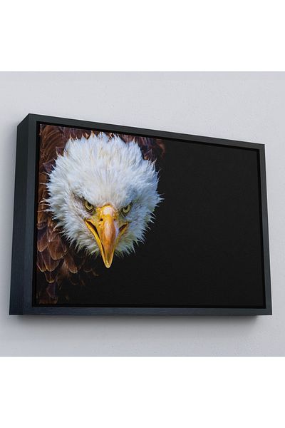 Harita Sepeti Διακοσμητικός πίνακας σε καμβά Eagle με χρυσό πλαίσιο