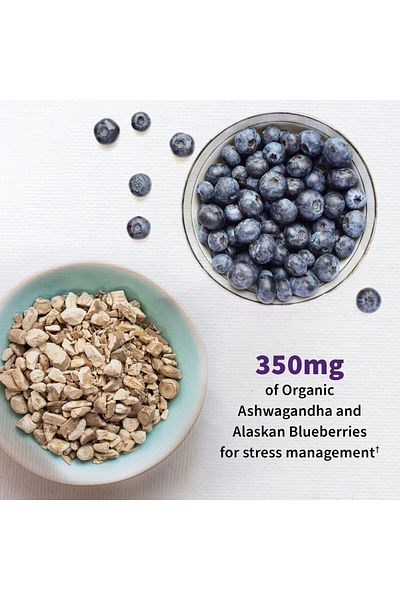 GARDEN OF LIFE Dr. Formulated Probiotics Mood+ with Ashwagandha - Relaxation, Digestive Balance - 60 Capsules