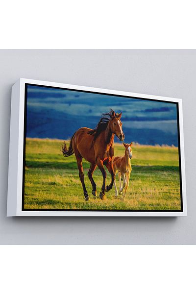 Harita Sepeti Horse and Thai Scenery Decorative Canvas Print with White Frame