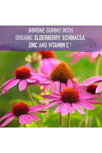 GARDEN OF LIFE Organics Elderberry Gummies - Immune Support, 120 Vegan Gummies