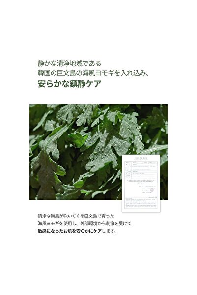 Round Lab Mugwort Calming Toner 300ml / Madecassoside, Soothing, Water Type Toner