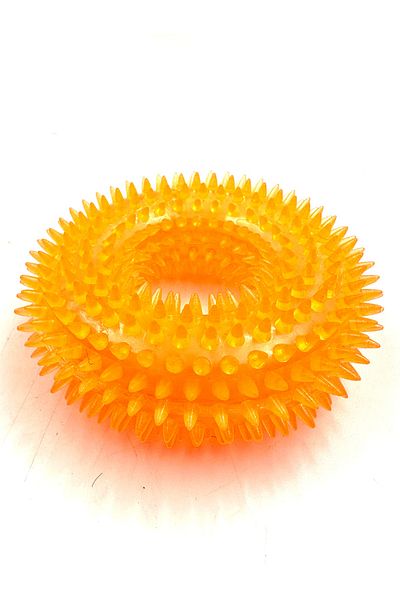 Tasma Market Caterpillar Caterpillar Sound Teether Dog Toy m Size