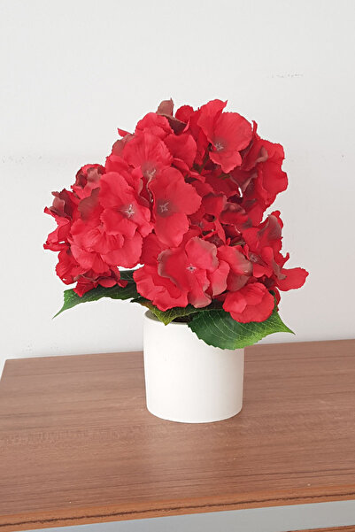 adresiburasi زهرة الكوبية الاصطناعية في وعاء خرساني 30 سم.