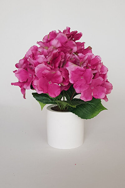 adresiburasi زهرة الكوبية الاصطناعية في وعاء خرساني 30 سم.