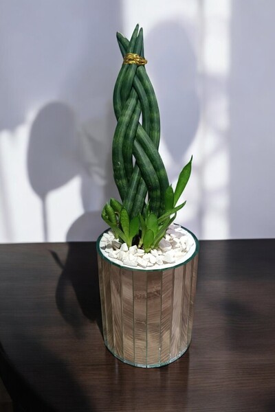 extrasepetim Mirror Vase Silver Stylish Decoration Round 15 cm Vase - Decorative Mirrored Vase