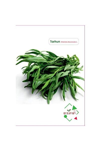 Arzuman Tarhun Tohumu (50 Adet)