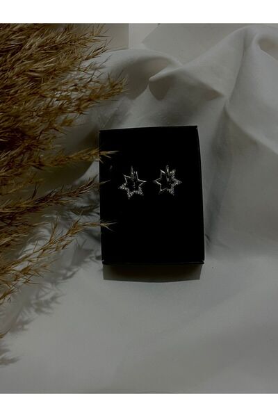 Jewerly Yıldız model sallanan çelik paslanmaz küpe