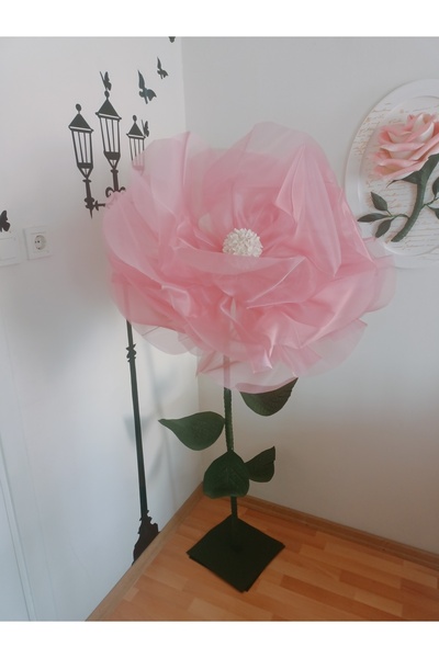 Rose bloome Dev tül çiçek pembe