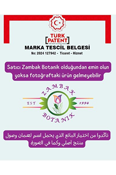 Zambak Katmerli Kokulu Ful yasemini (Jasminum Sambac, Şam Fulu)