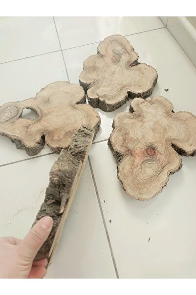 Handmade Epoksi kütük zeytin dut dogal kurutulmuş 4dilim 3,5cm kalınlık