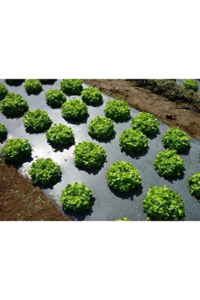 Procover MALÇ NAYLONU/ 1000METRE x 70 CM x 10 MİKRON/ SİYAH/ DELİKSİZ