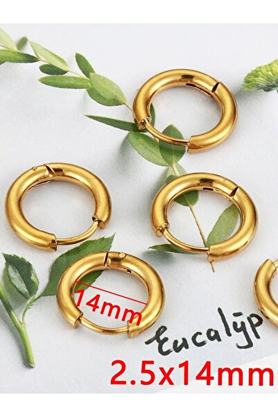 Choice 2.5 × 14 مم 10 قطع أقراط أذن من الفولاذ المقاوم للصدأ باللون الذهبي أق...