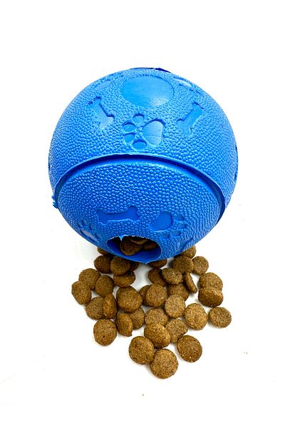 Tasma Market Reward Food - Storage Treasure, Durable and Sturdy Rain Ball