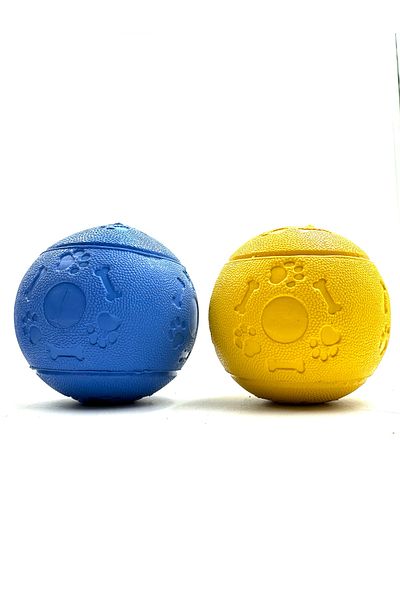 Tasma Market Play Ball Set - Sturdy Dog Games with Storage Container 2Pcs