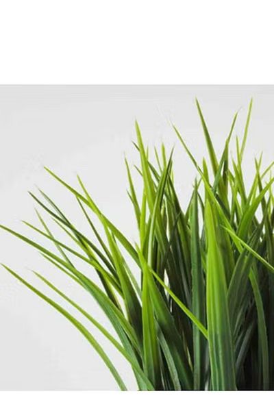 co arma Artificial decorative plant with plastic vase
