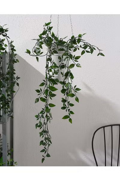 co arma Artificial plant in pot, indoor 70 cm