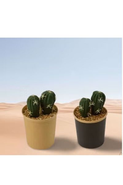co arma Realistic Small Cactus Plant With Spines Comes In A Multicolor Pot 2pcs