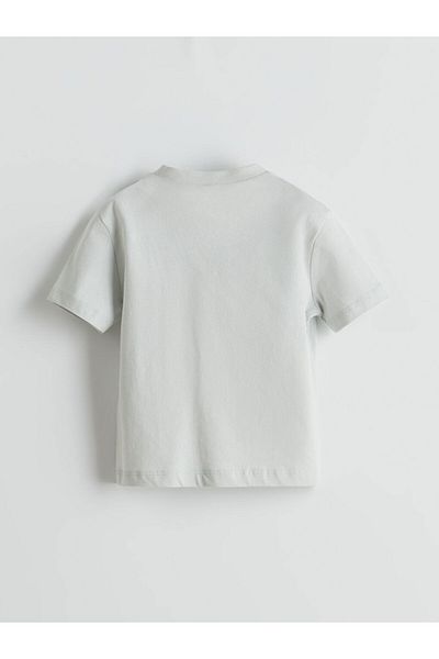 LC Waikiki Lcw Eco Crew Neck Printed Boys T-Shirt