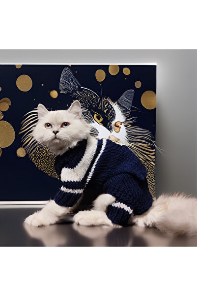 Lady Fify Kedive Köpek için Lacivert Denizci Kazak Pantolon Takım