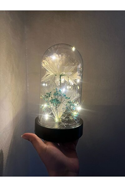 KAYZEN Kasımpatı ışıklı Fanus