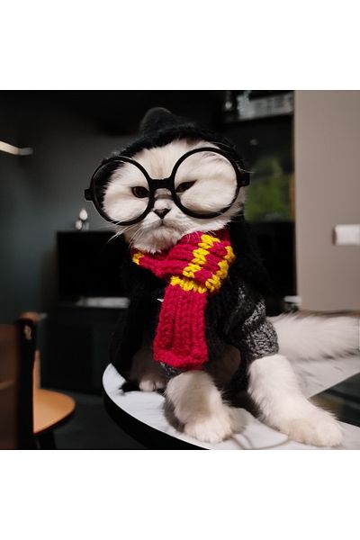 Lady Fify Harry Potter Costume for Cat Dog (Robe, Sweater, Hat and Glasses Suit)
