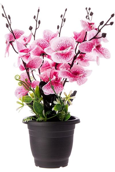 AKDC Artificial Plant L(13CM) XW(13CM) XH(35CM) Pink