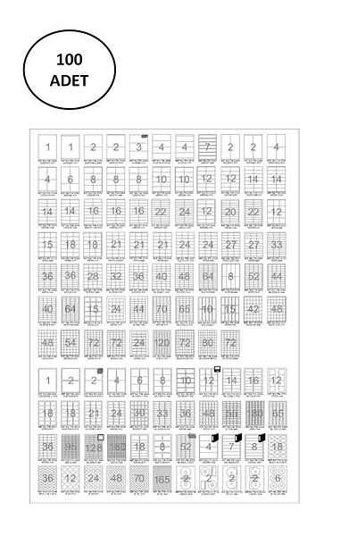 Tanex Alray Tw-2027 70X32,125 mm Laser Label 100 Pieces