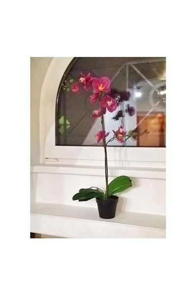 IKEA FEJKA Artificial plant in pot, indoor/outdoor 12 cm