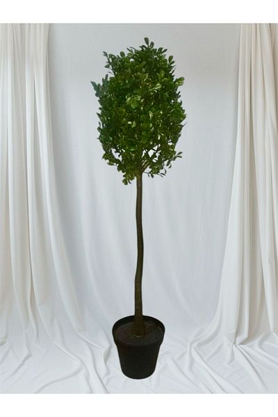 IKEA FEJKA Artificial potted plant, indoor/outdoor 15 cm