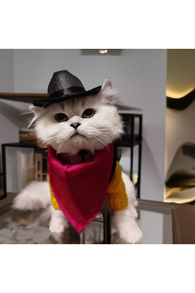 Lady Fify Redkit Costume for Cat Dog (Hat, Bandana, Sweater, Vest Suit)