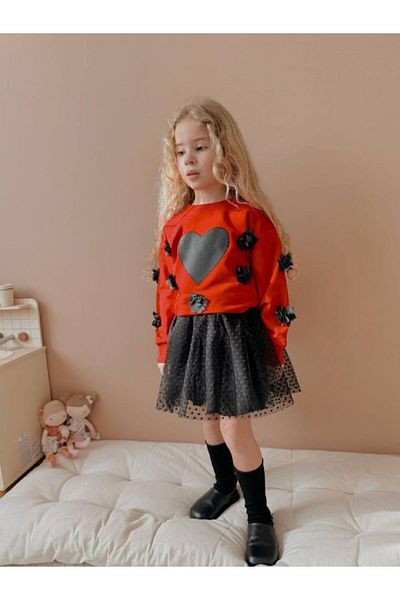 hira kids collection Girl's Heart Printed Tulle Skirt Bottom Top Set