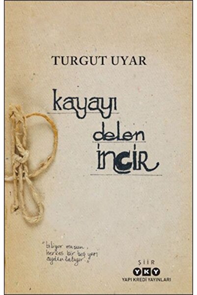 Yapı Kredi Yayınları Kayayı Delen İncir