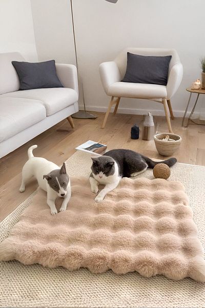 Myevilla Plush Soft Washable Bubble Cat Bed - Dog Bed Cushion Mink