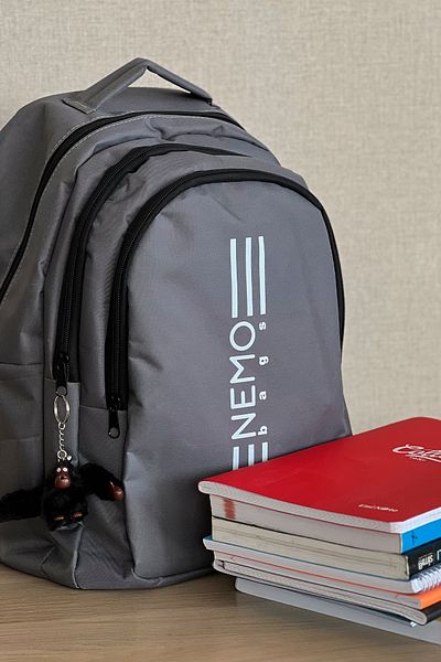 NEMO GROUP Unisex γκρι σακίδιο πλάτης Μεγάλο μέγεθος Σχολική αθλητική τσάντα, 16,9 ίντσες, 45x30x15cm 24lt, Gorilli
