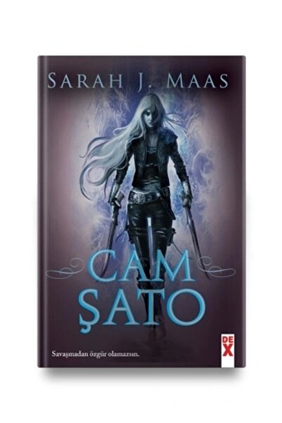 Dex Yayınevi CAM ŞATO 1