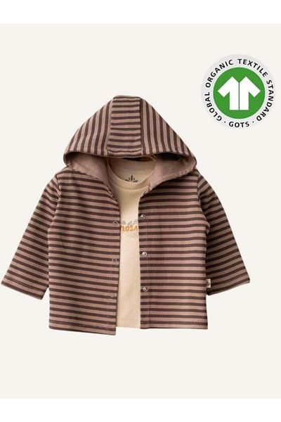 Zekids Baby Boy Striped Organic 3-Piece Tracksuit Set